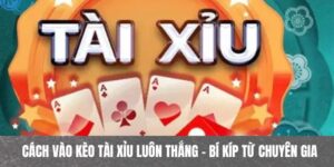 Cách vào kèo tài xỉu luôn thắng phản ánh