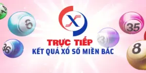 Diễn đàn xổ số miền bắc mang đến