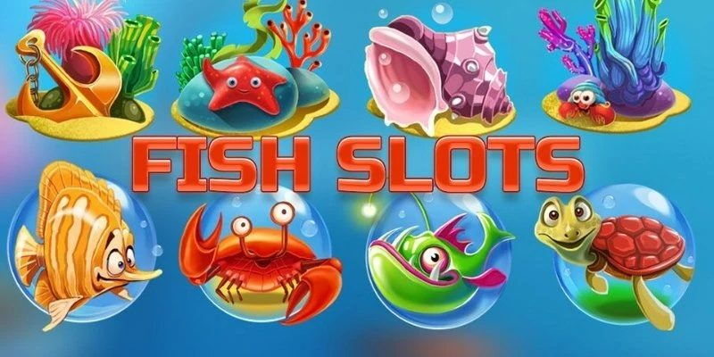 Khám phá sự đa dạng của sinh vật biển trong từng màn