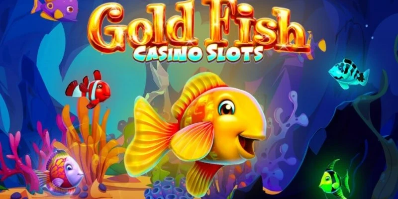 Toàn cảnh trải nghiệm game bắn cá Fishing Diary