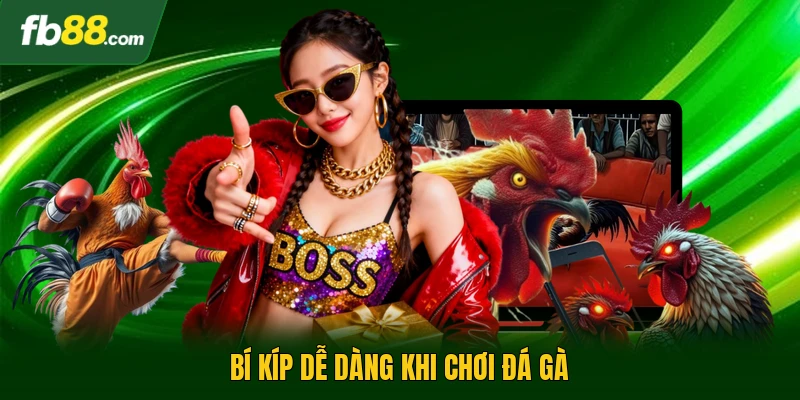 Đá Gà Mỹ Nhập | Sân Chơi Kịch Tính Cho Dân Cá Cược 3 Bí kíp dễ dàng khi chơi đá gà