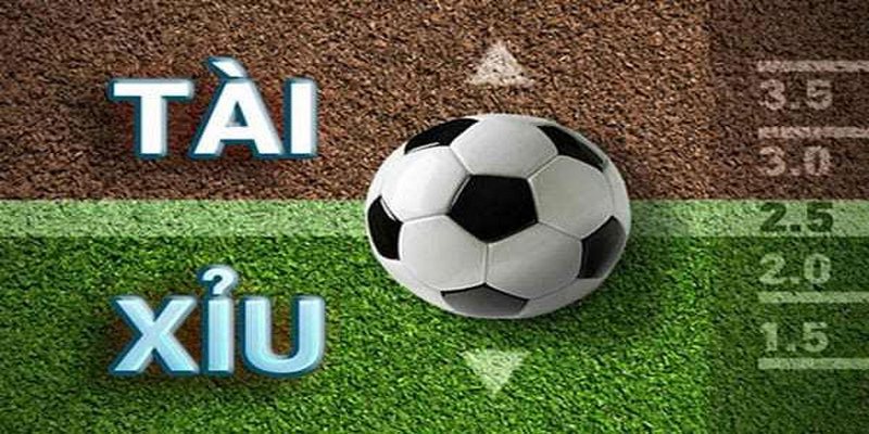 Bí kíp thực chiến trong cách bắt tài xỉu bóng đá