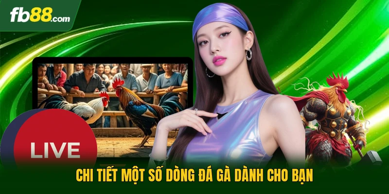 Đá Gà Mỹ Nhập | Sân Chơi Kịch Tính Cho Dân Cá Cược 2 Chi tiết một số dòng đá gà dành cho bạn