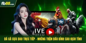 Đá Gà Cựa Dao Trực Tiếp - Những Trận Đấu Đỉnh Cao Kịch Tính