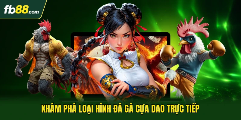 Khám phá loại hình đá gà cựa dao trực tiếp
