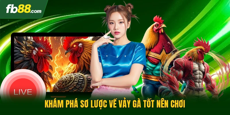 Vảy Gà Tốt Nên Chơi Giúp Bạn Nhận Diện Linh Kê Thực Thụ 1 Khám phá sơ lược về vảy gà tốt nên chơi