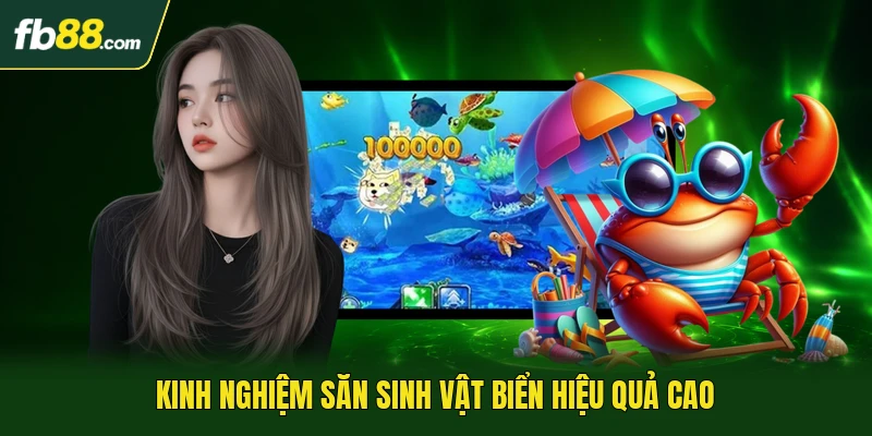Kinh nghiệm săn sinh vật biển hiệu quả cao
