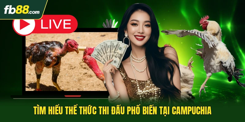 Tìm hiểu thể thức thi đấu phổ biến tại Campuchia