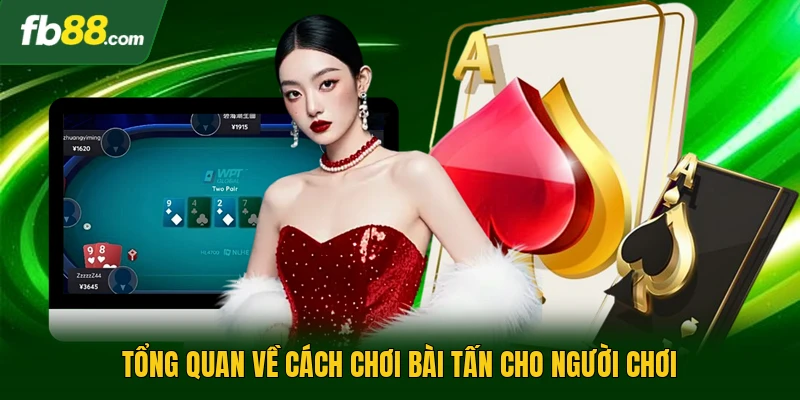 Cách Chơi Tấn Dễ Hiểu Cho Người Mới Và Mẹo Để Thắng Lớn 1 Tổng quan về cách chơi bài tấn cho người chơi