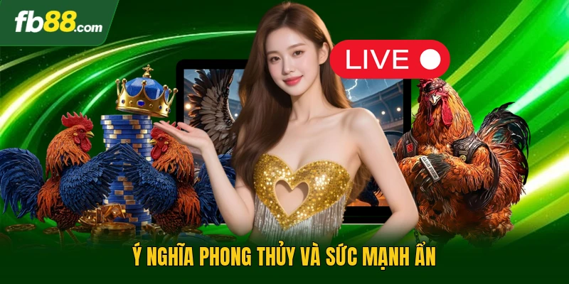 Vảy Gà Tốt Nên Chơi Giúp Bạn Nhận Diện Linh Kê Thực Thụ 3 Ý nghĩa phong thủy và sức mạnh ẩn
