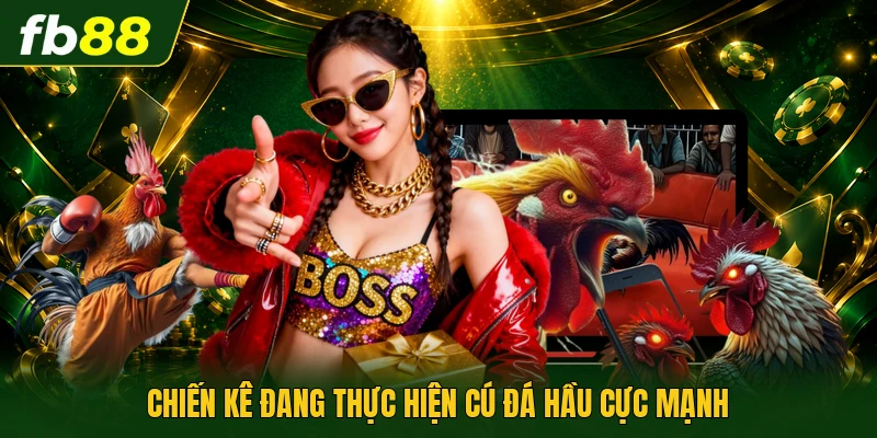 Chiến kê đang thực hiện cú đá hầu cực mạnh