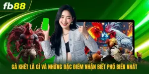 Gà Khét Là Gì Và Những Đặc Điểm Nhận Biết Phổ Biến Nhất