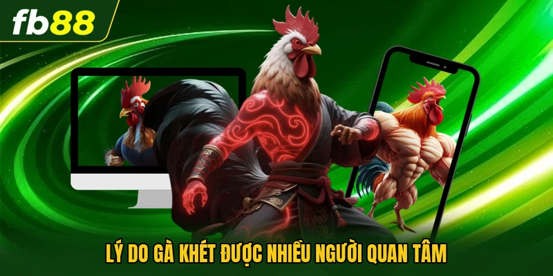 Lý do gà khét được nhiều người quan tâm